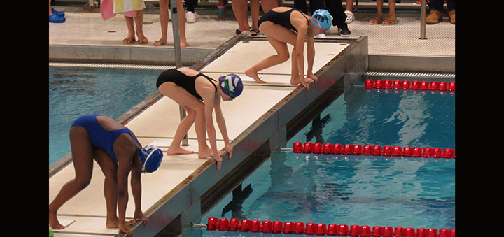Norwich YMCA Dolphins compete at State Championship